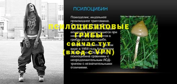 мдпв Корсаков