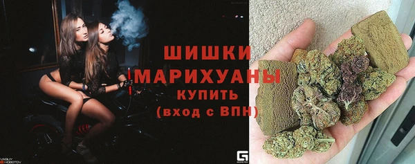 мдпв Корсаков