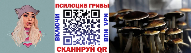 Галлюциногенные грибы MAGIC MUSHROOMS  Купить  Ухта 